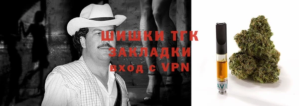 гидра Наволоки