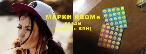 хмурый Алексин