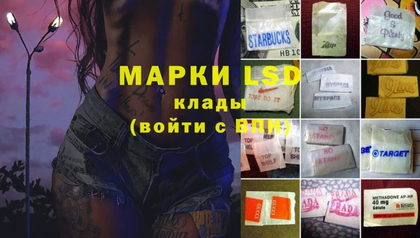 хмурый Алексин