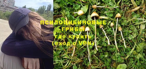 эйфоретик Алзамай