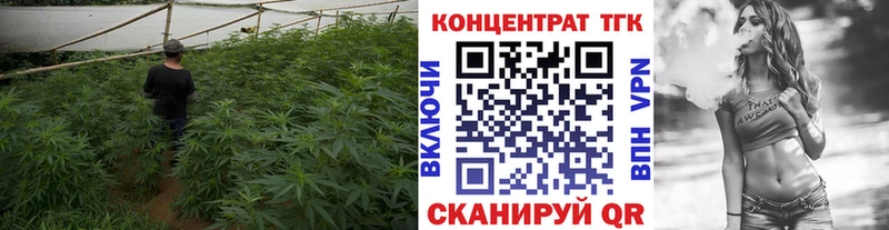 Дистиллят ТГК THC oil  цены наркотик  кракен маркетплейс  Полтавская 